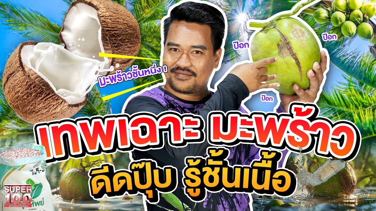 เทพเกษตรกรมะพร้าวน้ำหอม #เบ้น  ดีดปุ๊บ ก็รู้ชั้นเนื้อมะพร้าวปั๊บ l SUPER100