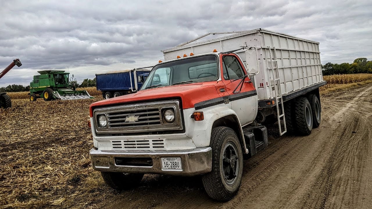 Hauling Corn Into Town With A Chevy C65 Squarebody Grain Truck