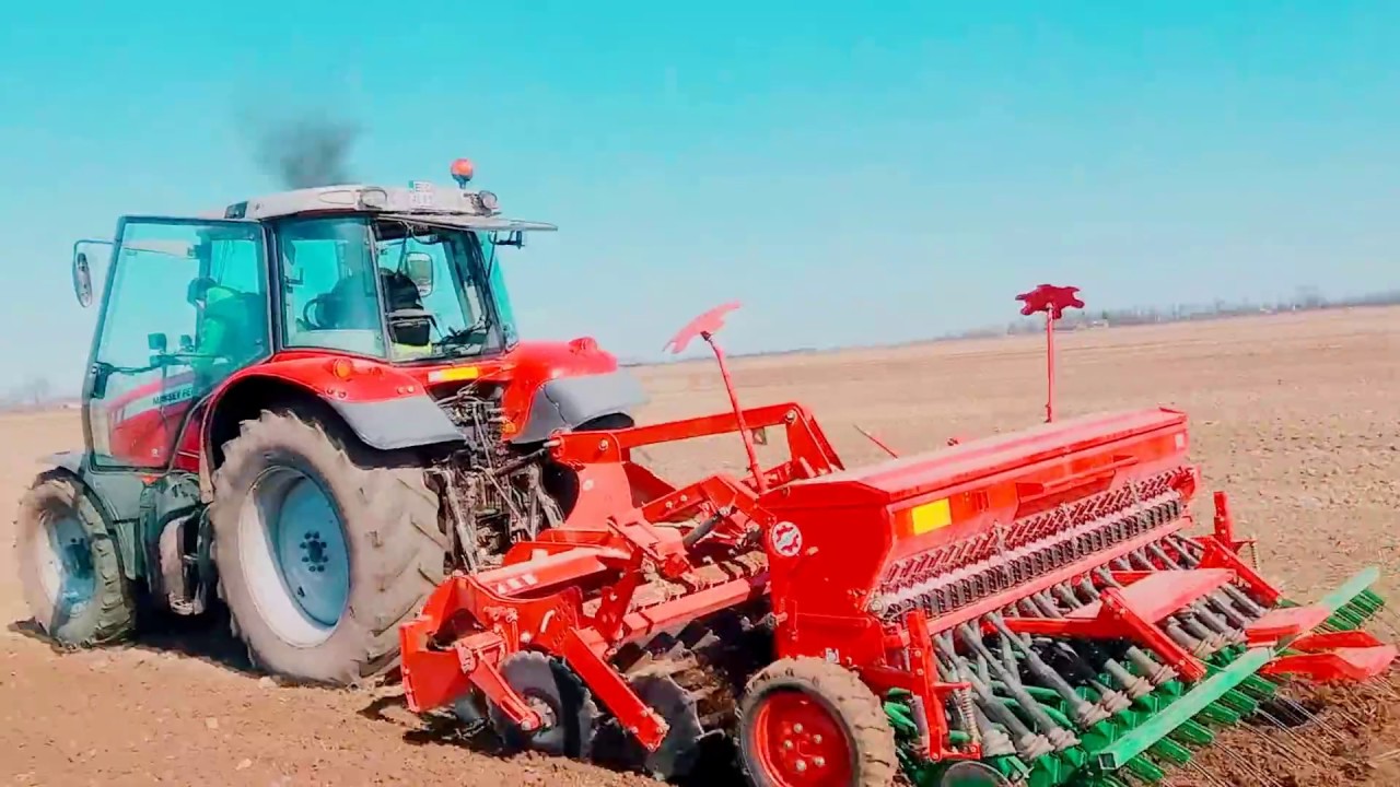 Przesiewanie zbóż 2016/Massey Ferguson 6465 w akcji/Agro Chłopaki!!!