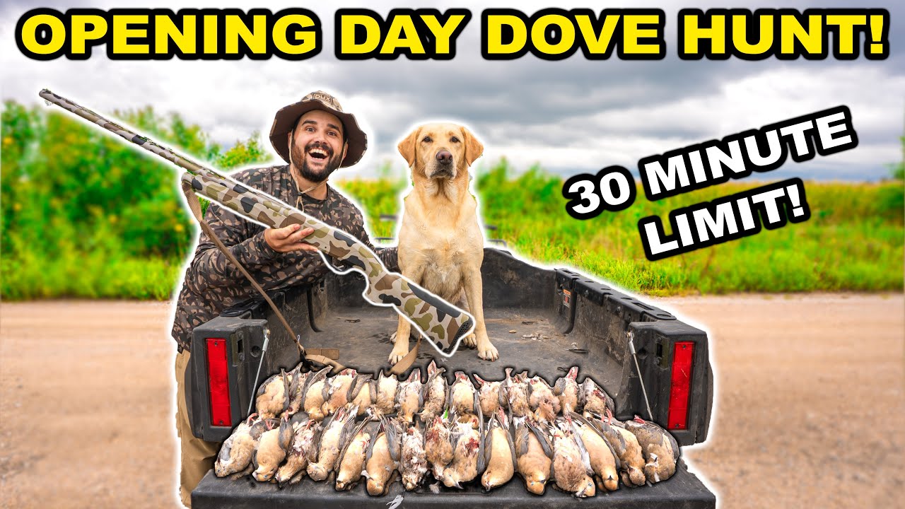 30 DOVES in 30 MINUTES - OPENING DAY Dove Hunt at the LEASE!!! (Limited Out) - Catch Clean Cook