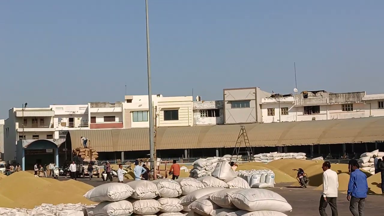 Unjha APMC market Dhana bajar