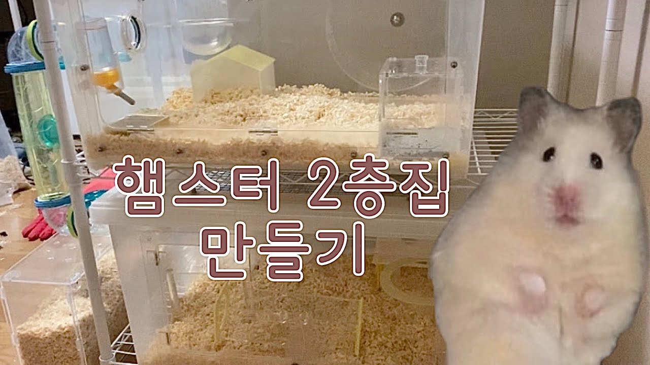 햄스터 2층집 만들기 | 리빙박스 구멍 뚫기 #hamster