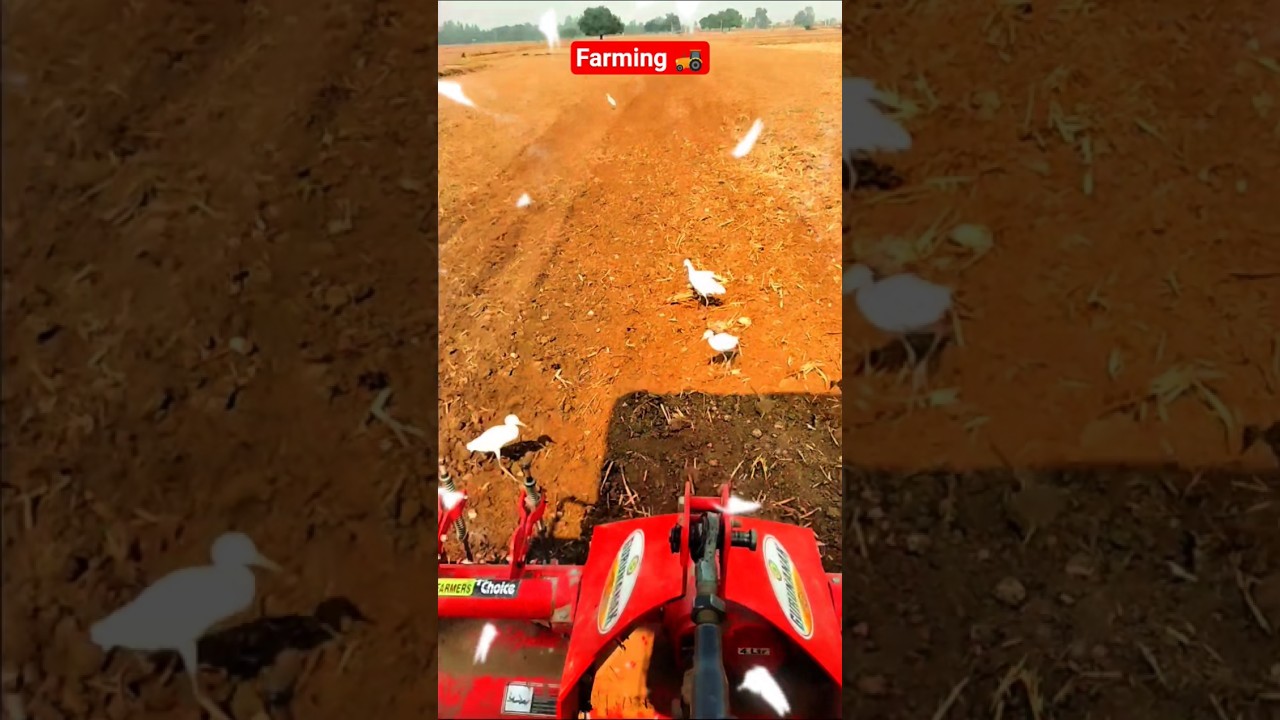 Rotavator se ki khet ki जुताई ll🚜❤️ 