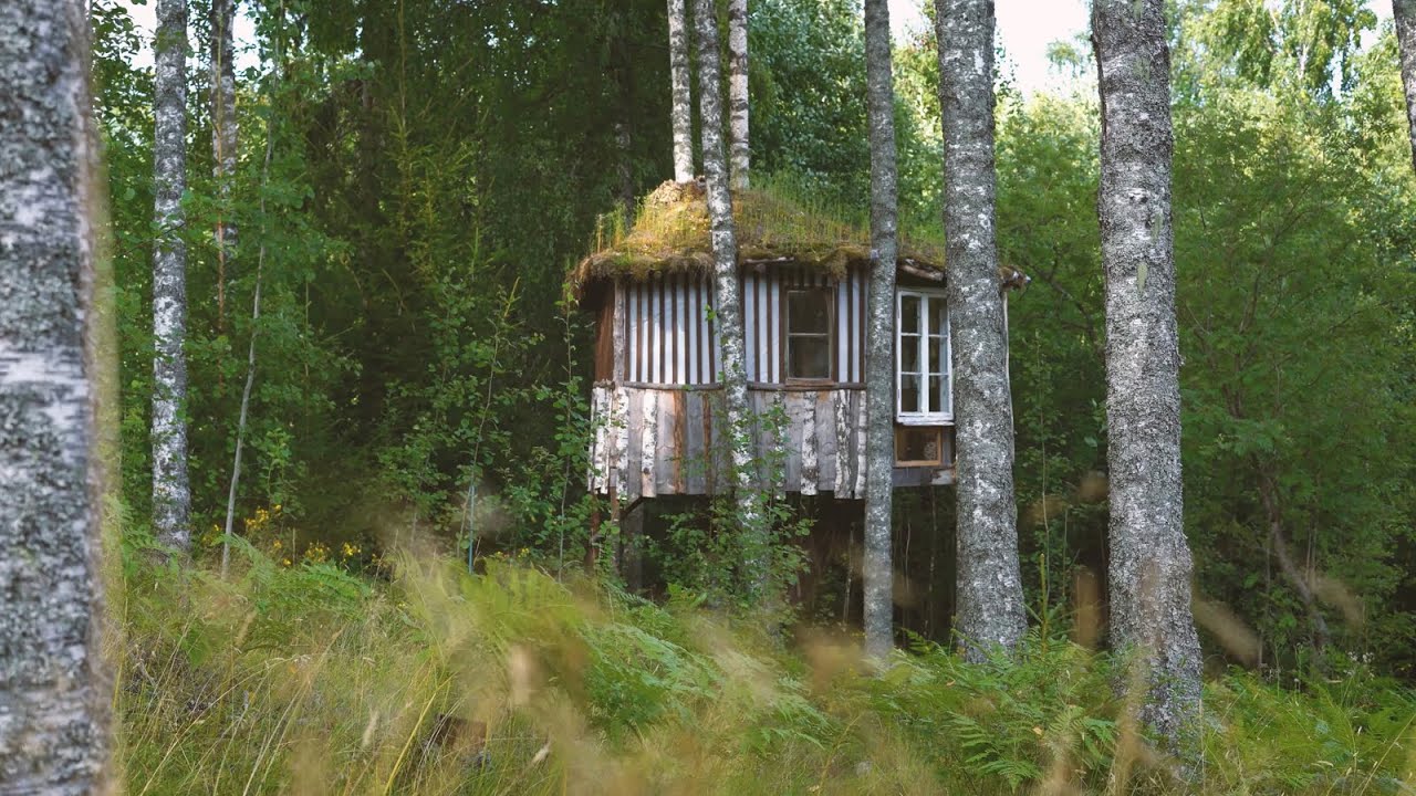 natural building Bluesberry Woods