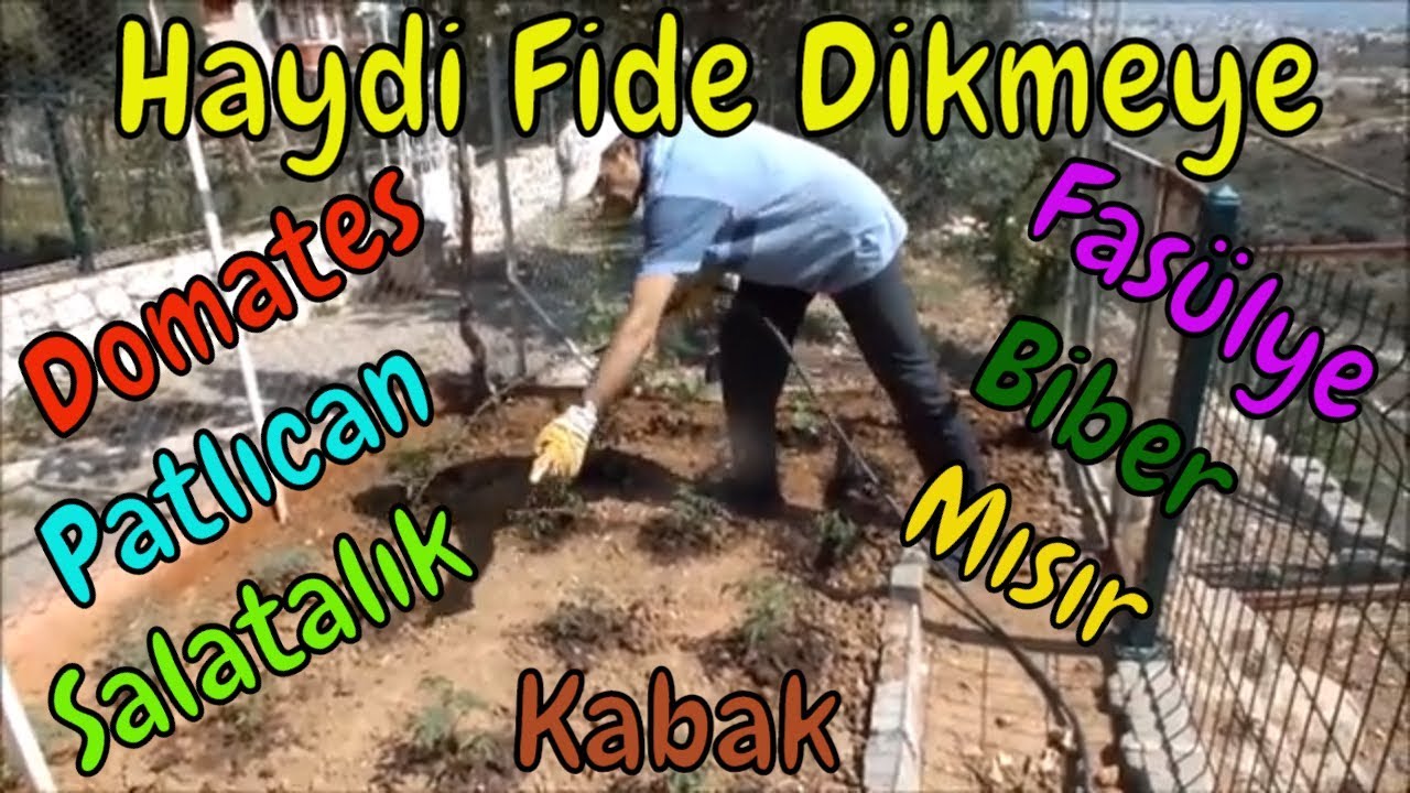 Bahçeye Fide Dikiyoruz (Domates, Biber, Patlıcan, Salatalık, Kabak, Kavun, Karpuz, Fasulye, Mısır)