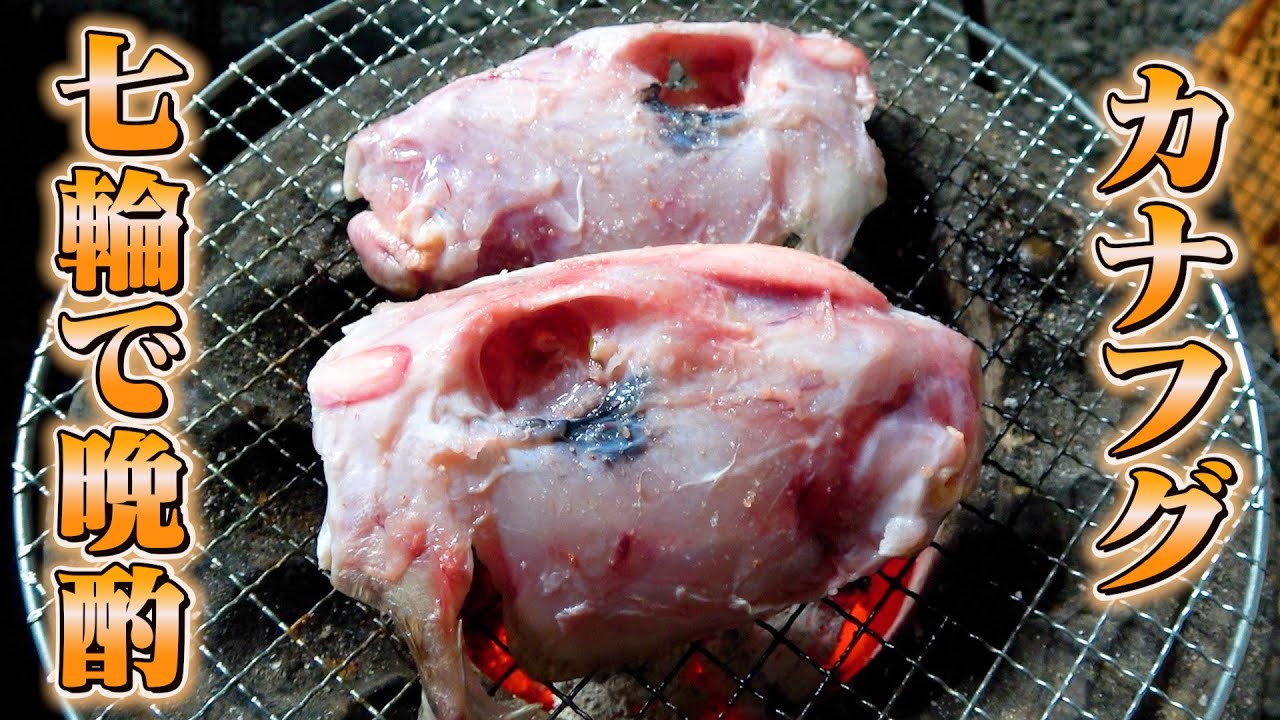 【七輪で晩酌】カナフグの頭をじっくり焼いたら美味しすぎた！