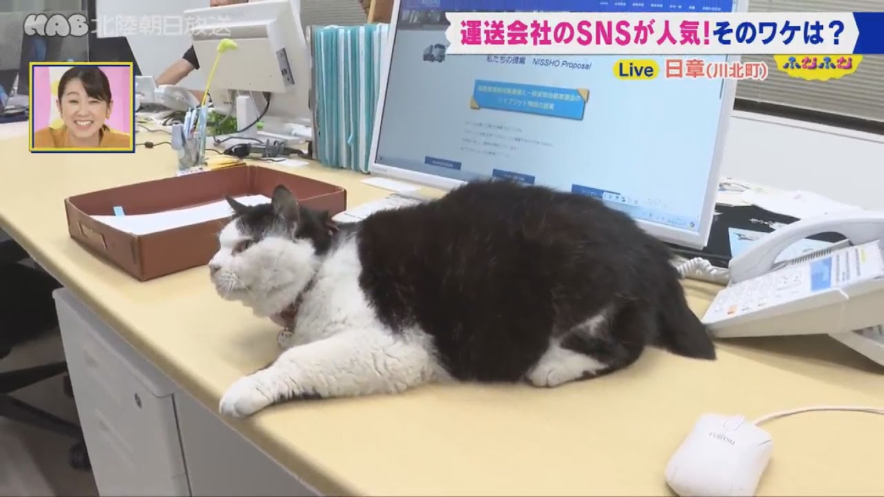 SNSでバズる運送会社　謎の敏腕広報とは？