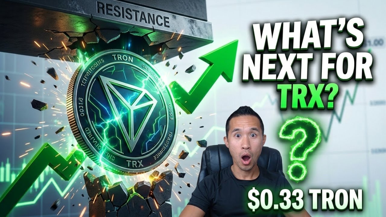 Акции TRON по цене $0,33 выросли, как и ожидалось. Что дальше ждет TRX?
