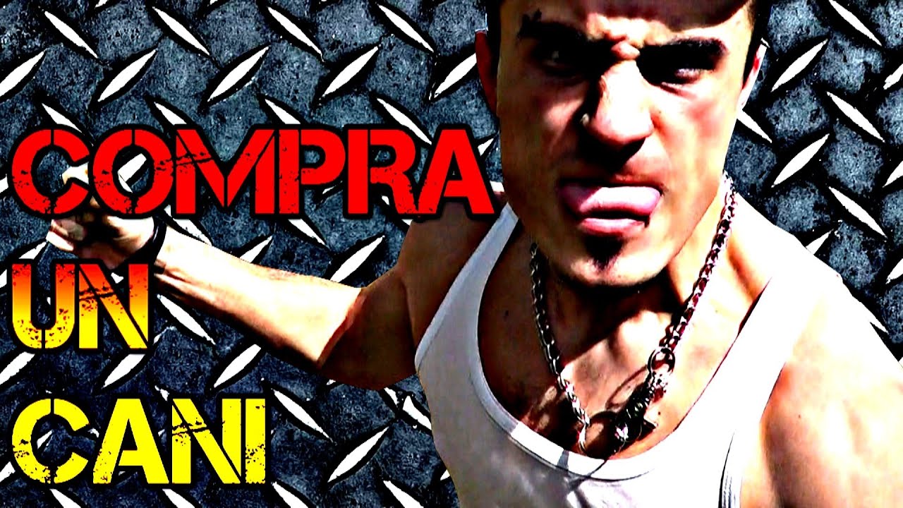 COMPRA UN CANI