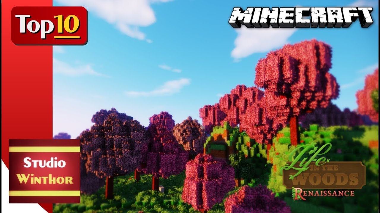 Top 10 - Seeds || Minecraft - Life in the Woods 1.3.11 || incl. World Saves for later Versions