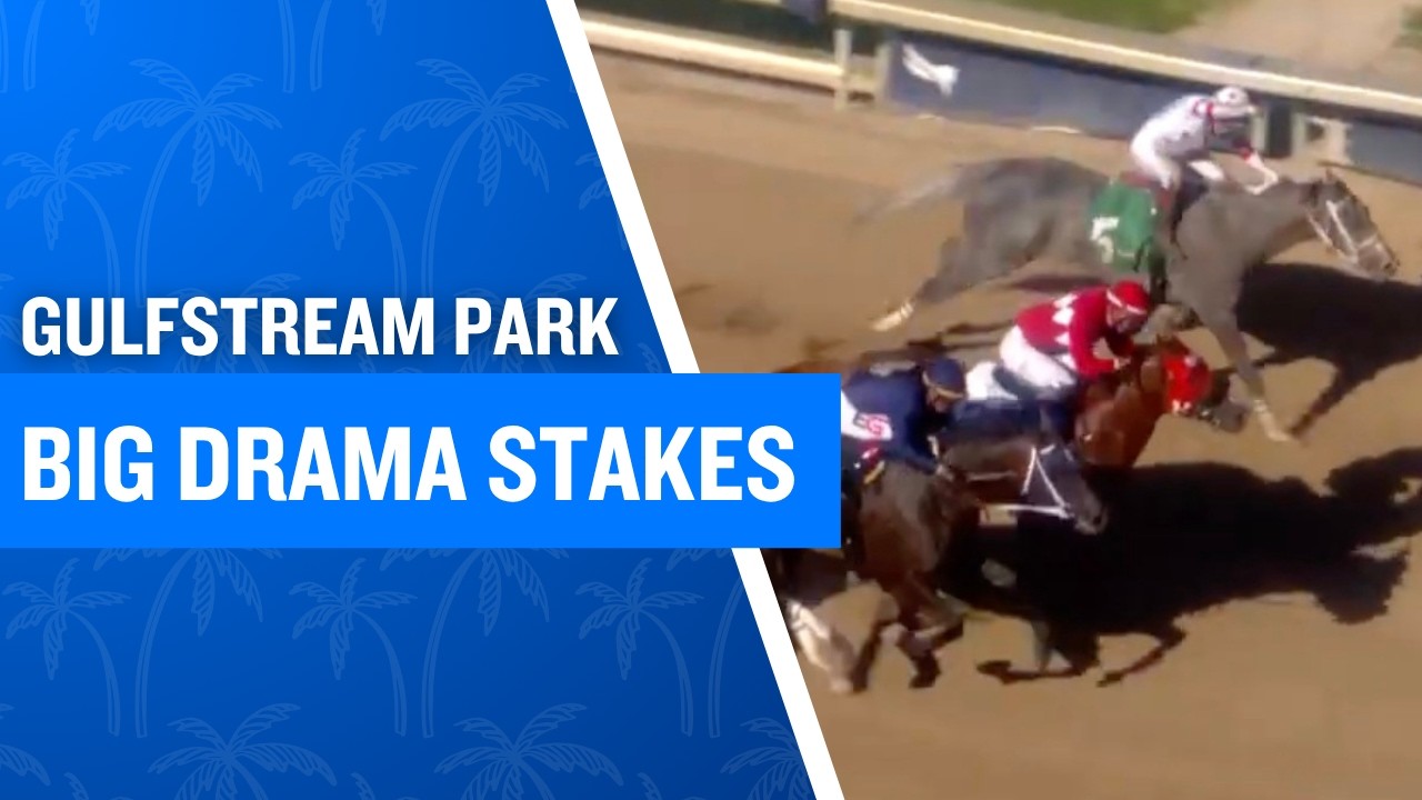 2026 $100,000 Big Drama Stakes at Gulfstream Park