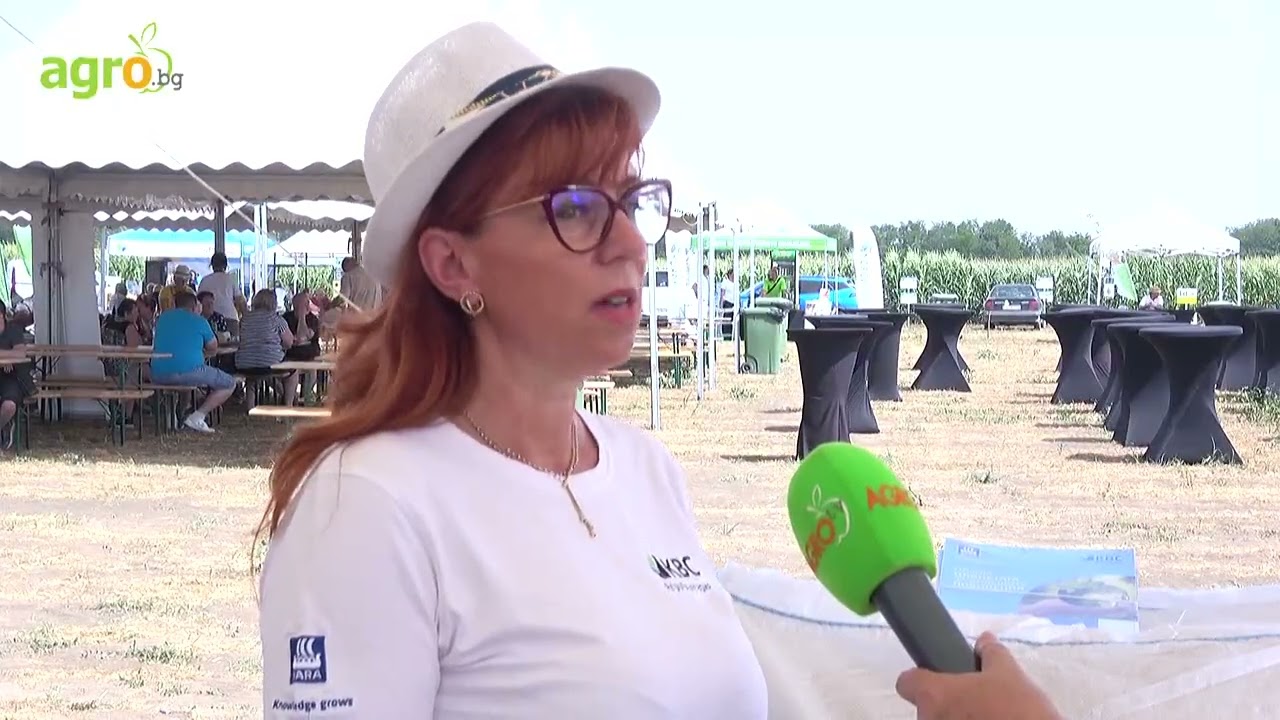 Предсеитбено торене на есенници – тънкости за максимални резултати