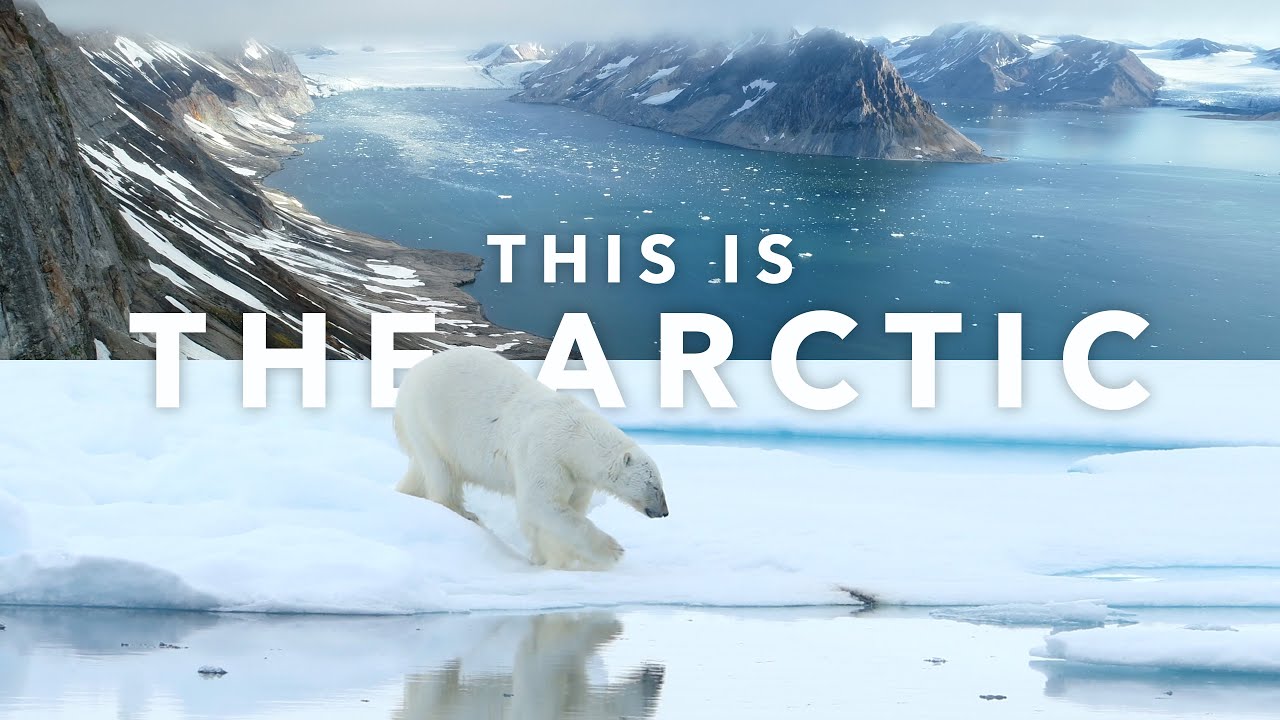 This is The Arctic