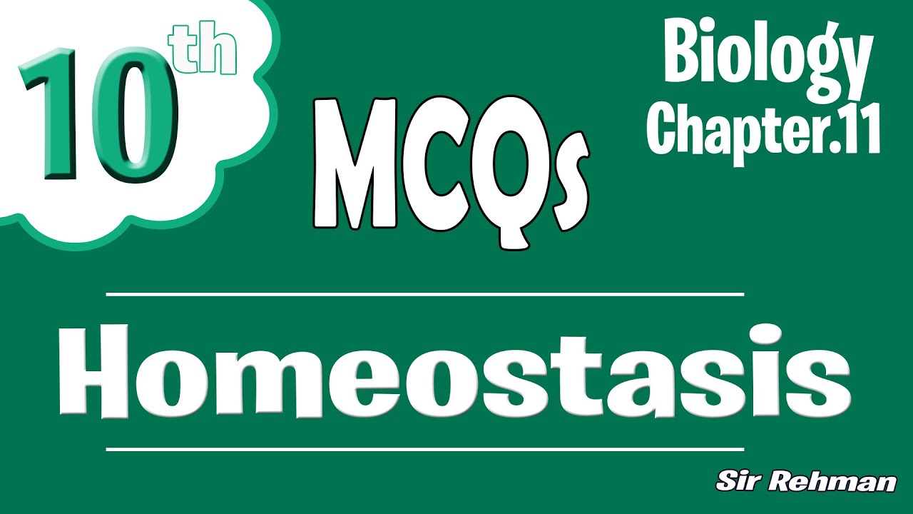 Глава 11 по биологии для 10 класса Mcqs | ГОМЕОСТАЗ | Автор: Сэр Рехман ✅