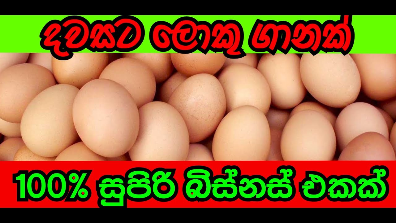 බිත්තර businessතවත් එක් නියම බිස්නස් එක මට ලොකු ලාභයක්