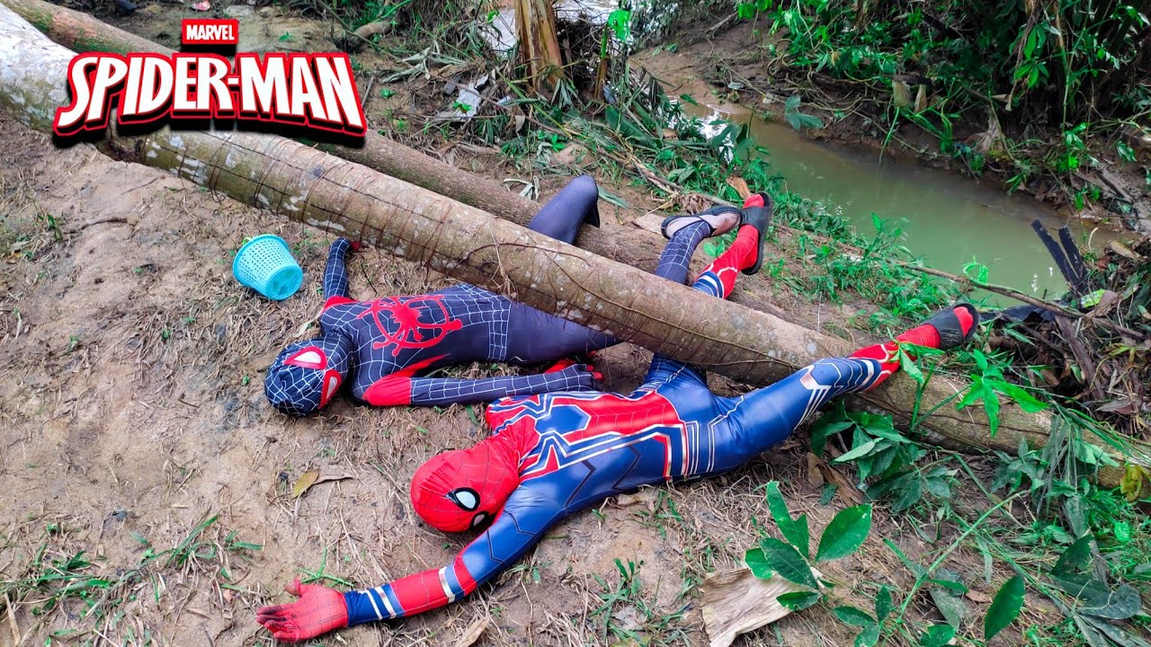 SPIDERMAN tertimpa pohon tumbang, mencari mainan anak anak, ultraman ginga, ultraman zero