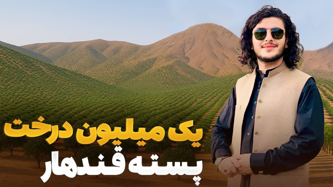 هی میدان طی میدان - کاشت یک میلیون درخت پسته در سراسر کشور
