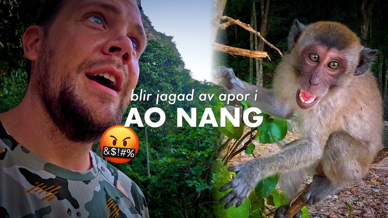 BLIR ATTACKERAD AV APOR I AO NANG