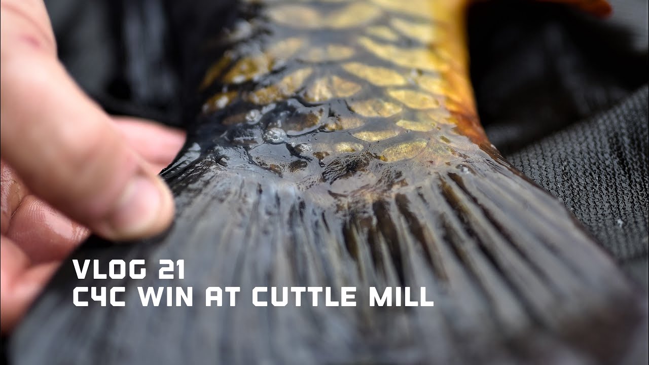 Vlog - 21 Carp In 4 Cancer Charity Match Win At The Historic Cuttle Mill Fishery