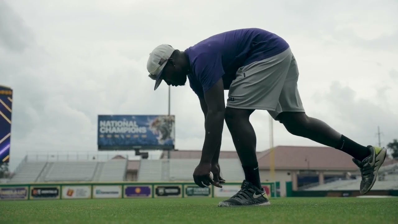 Alex Box Stadium - Celebration Bermudagrass