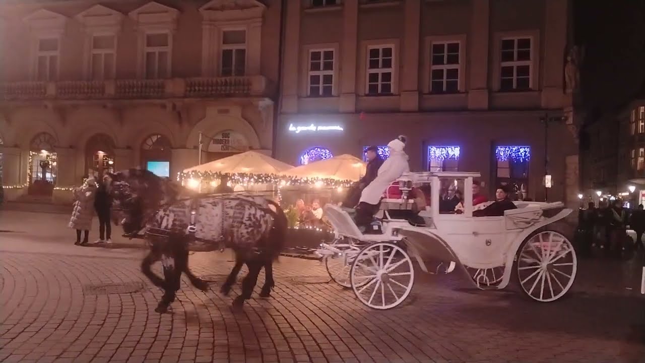 AGH Kraków Pochód Lisów Barbórka 2024