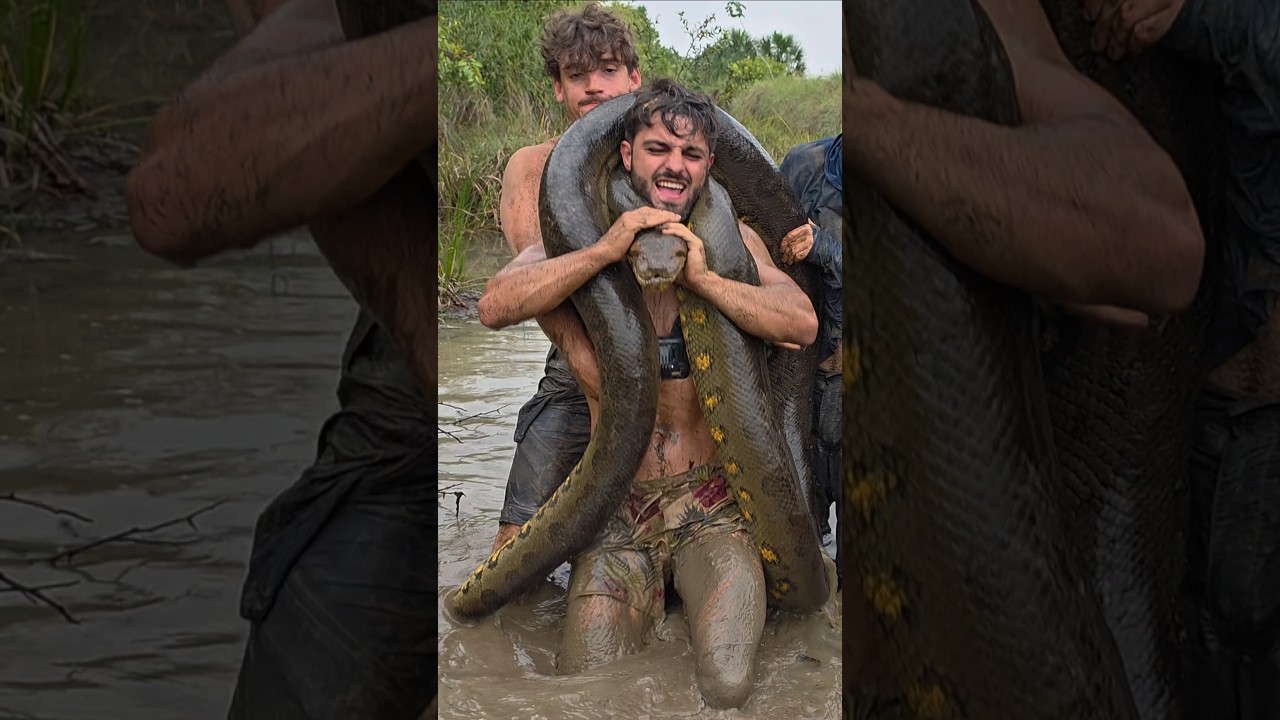 Dzień 40 W poszukiwaniu Anakondy 10M 🐍