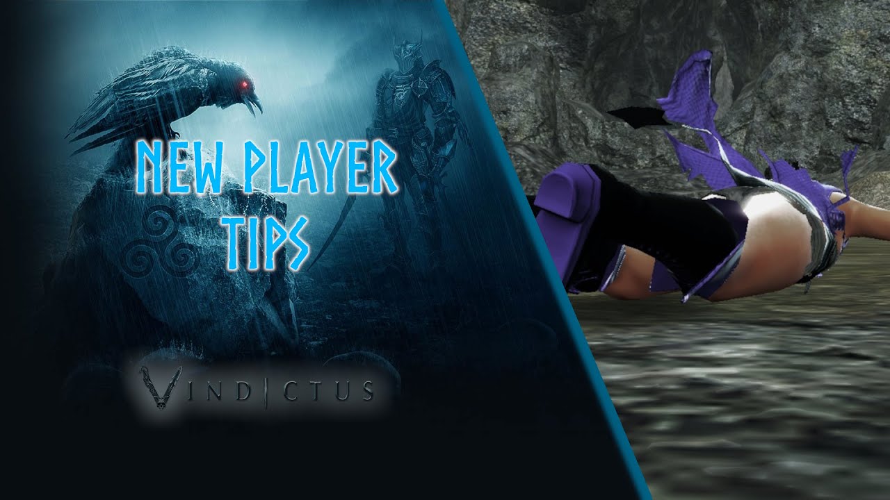 Vindictus New Player Tips