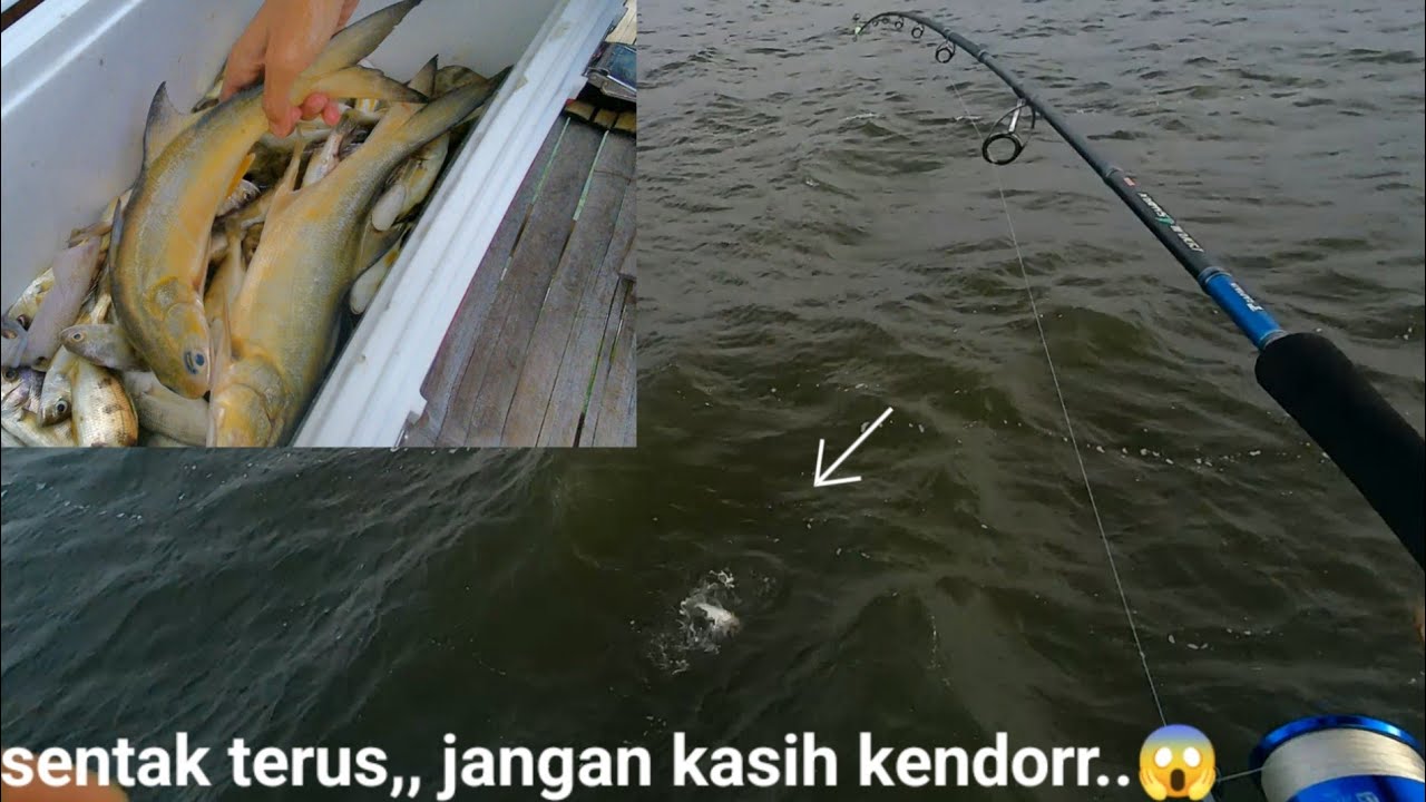 pantas saja‼️bagan ini selalu jadi incaran para pemancing.
