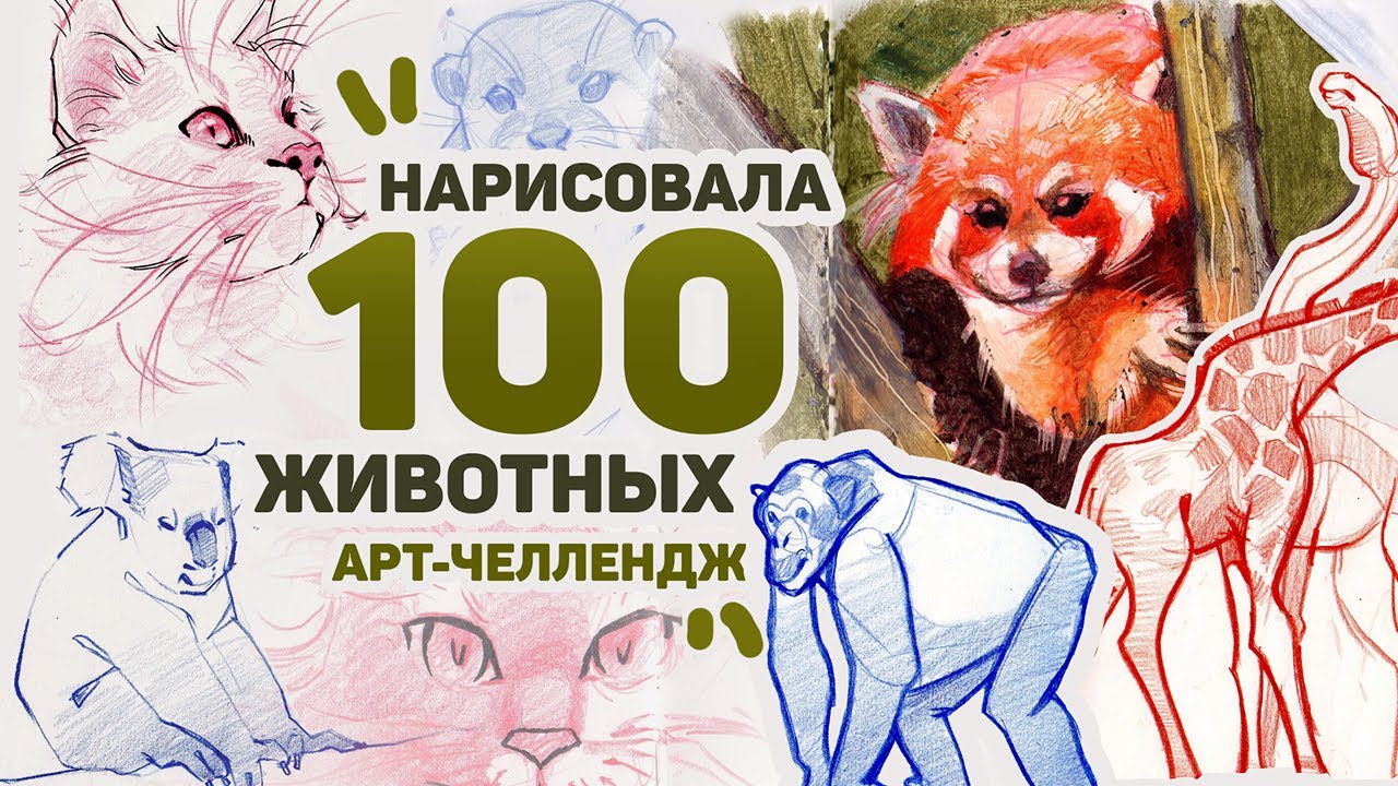 Рисую 100 ЖИВОТНЫХ за 3 ДНЯ // Арт Челлендж