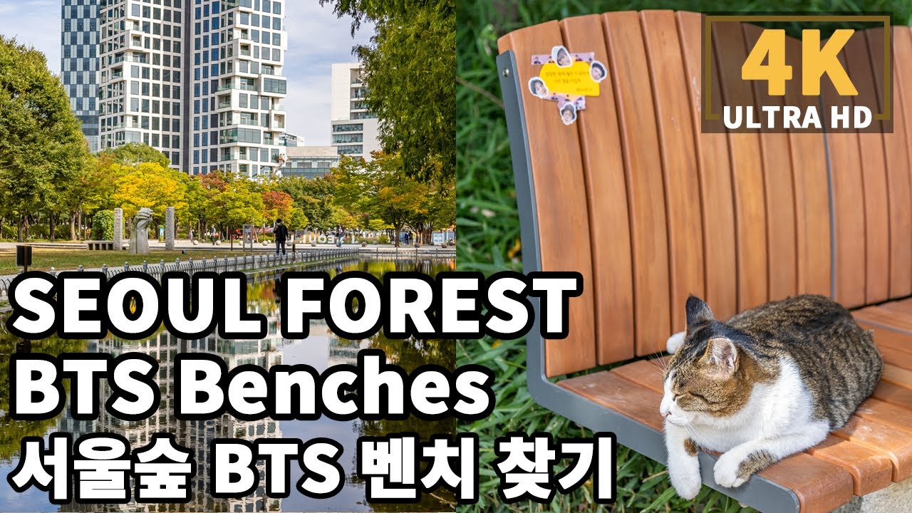 [4K] Walk to find BTS bench in Seoul Forest Park (JIMIN, SUGA, J-Hope, JIN, RM) | 서울숲에서 BTS 멤버 벤치 찾기