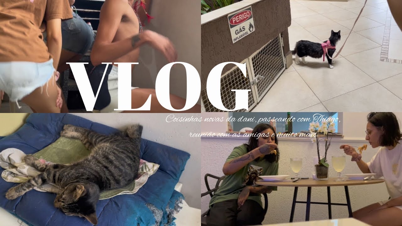 VLOG: Coisinhas novas da Dani, passeando com Thiago, reunião com as amigas e muito mais!