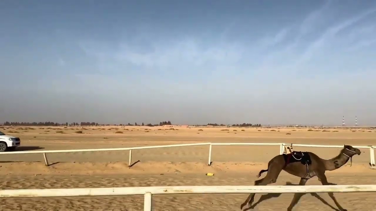 وداع/عبدالهادي مسند اللحاوي الشراري