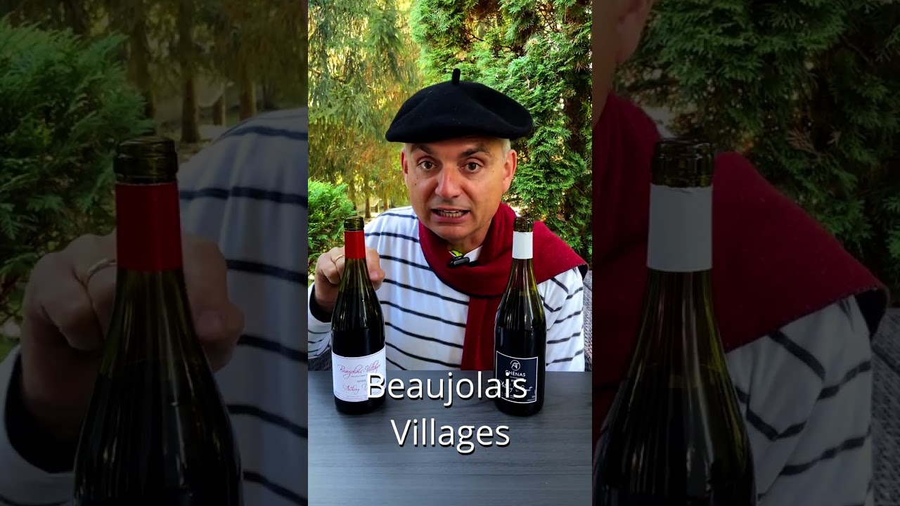 NIEZWYKŁE WINA Z BEAUJOLAIS  #wino #natura #foodandwine #jedzenie #beaujolais #drink #buywine