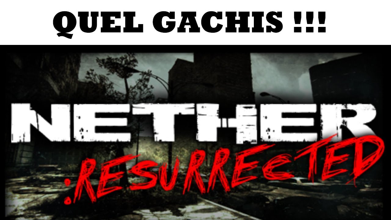 Quel g&acirc;chis ! Ce jeu avait du potentiel pour son &eacute;poque ! #nethergames    #benzevo