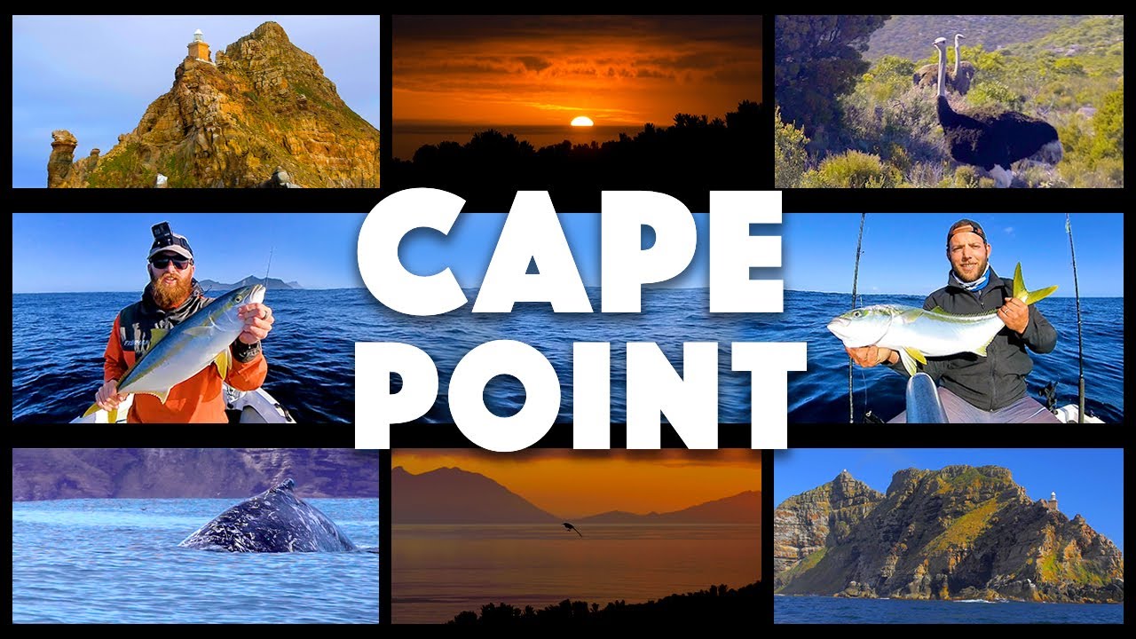 Crazy wild fishing session to remember! | Beautiful Cape point, South Africa