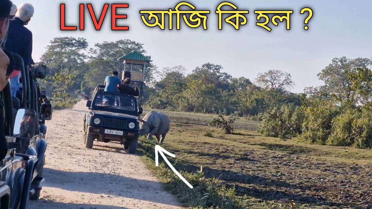 আজি কি হল Safari ত Rhino আৰু Rhino | kaziranga Jeep Safari vlog | Kaziranga National Park 