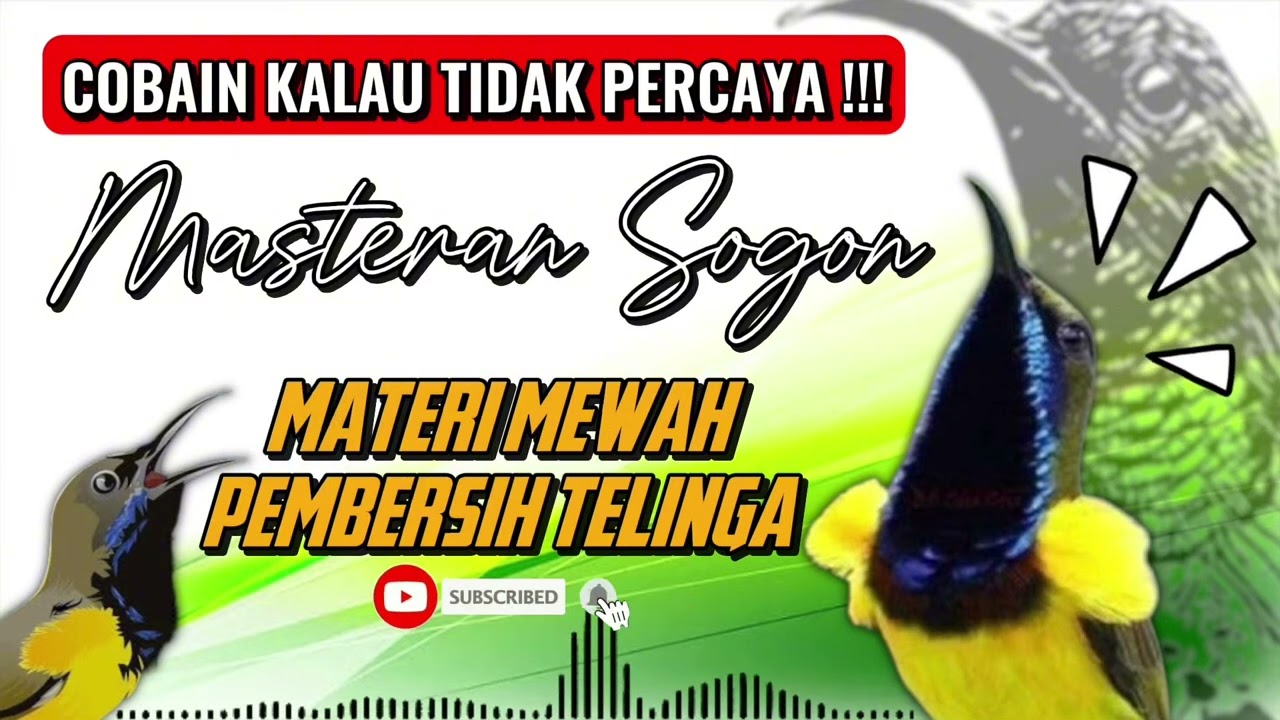MASTERAN SOGON MATERI MEWAH PEMBERSIH TELINGA #sogon #sogongacor #sogokontong