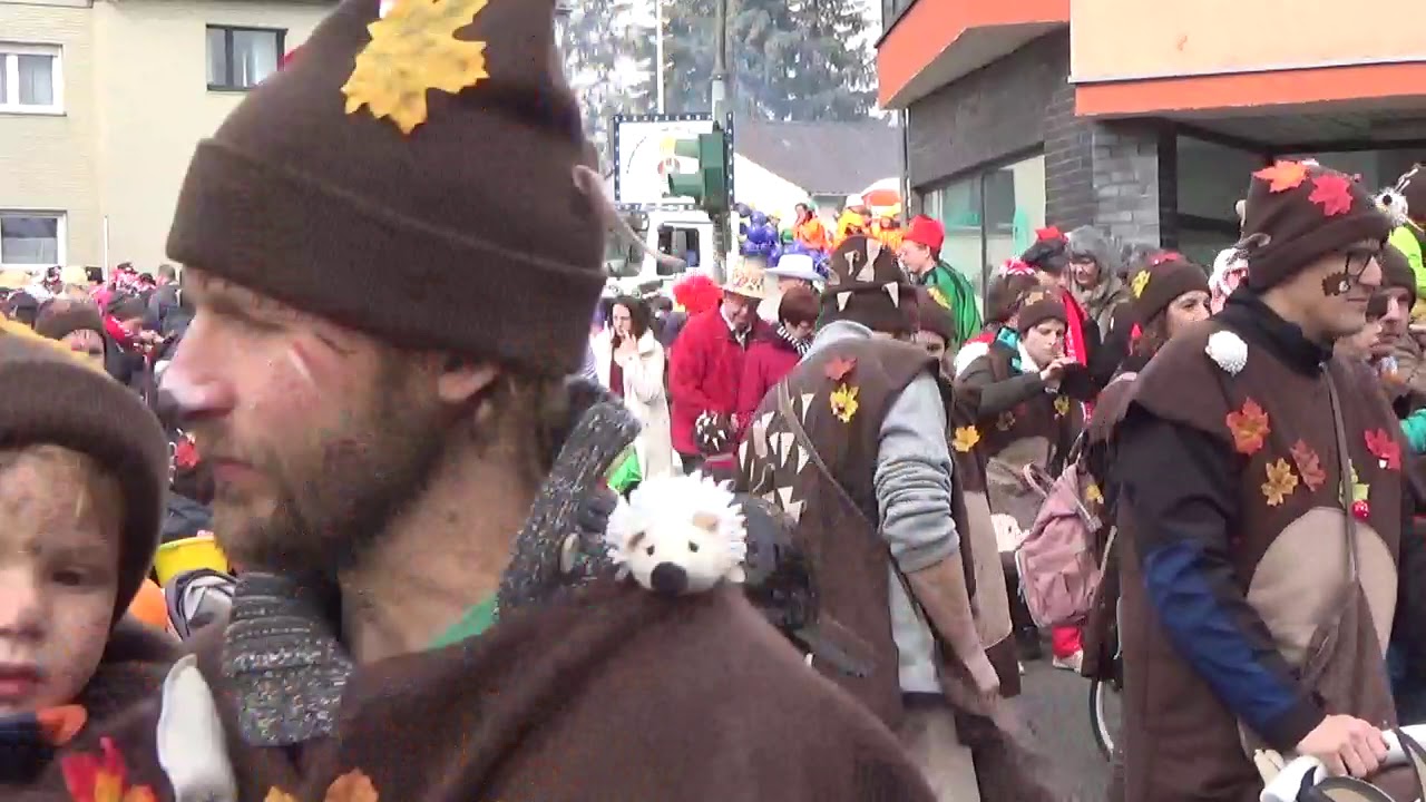 Karnevalszug Frechen Königsdorf 2019