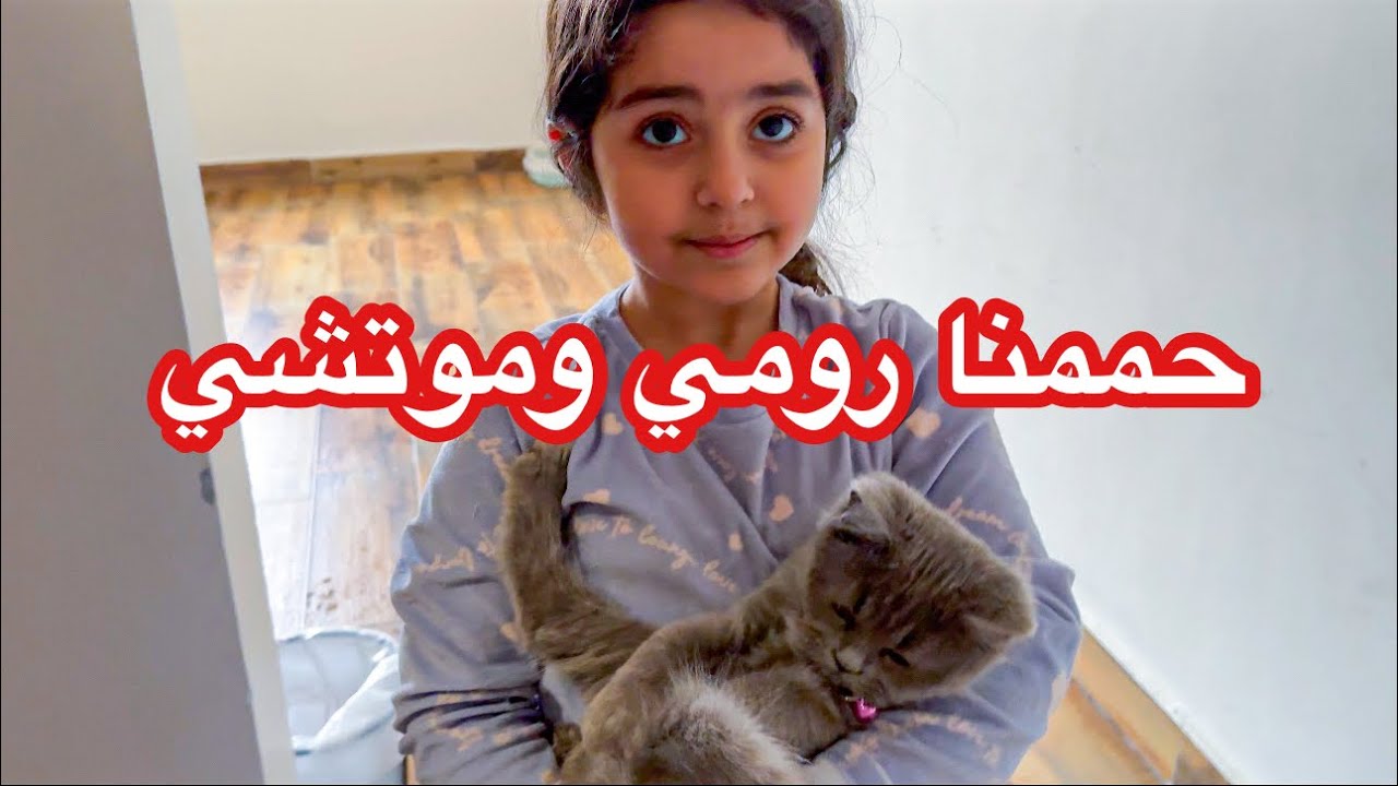 بتول ومريم حمموا وسبحوا القط شوفوا جمال قططهم