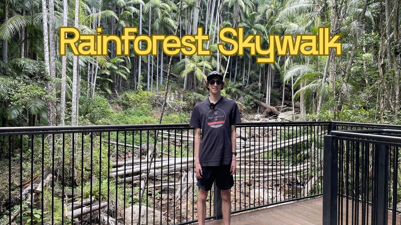 Vlog: Skywalking at Mount Tambourine Rainforest