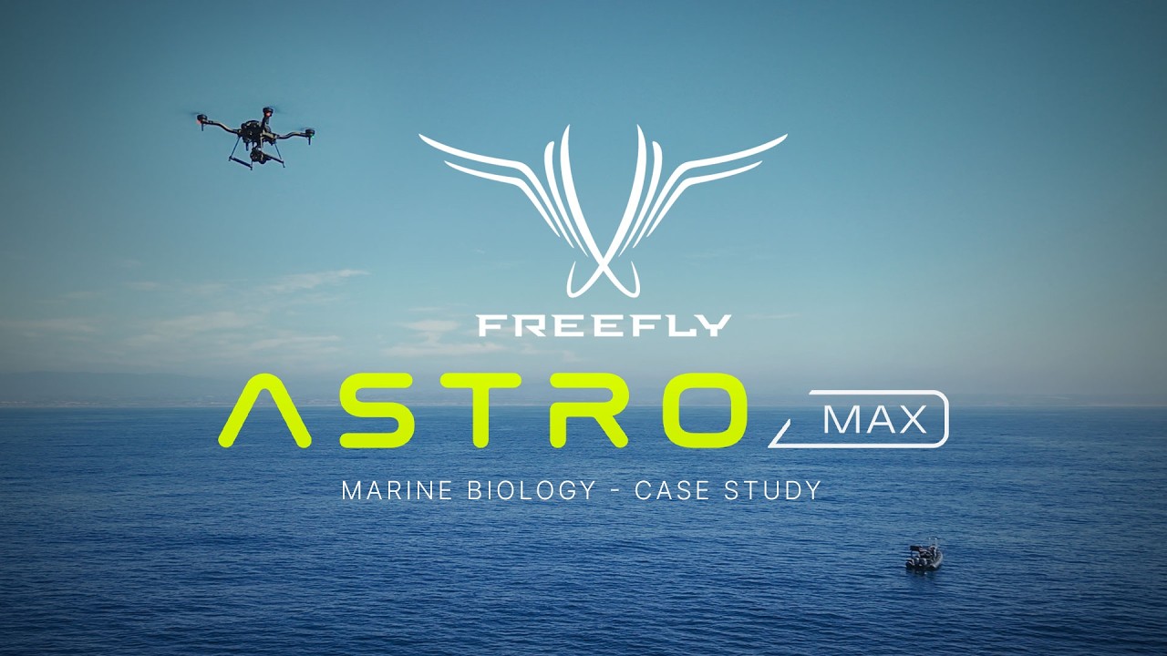 Freefly Case Study - Astro Max - Marine Biology