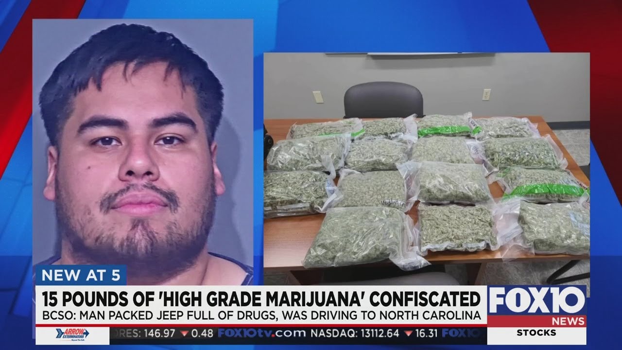 15 pounds of 'high grade marijuana' confiscated by BCSO