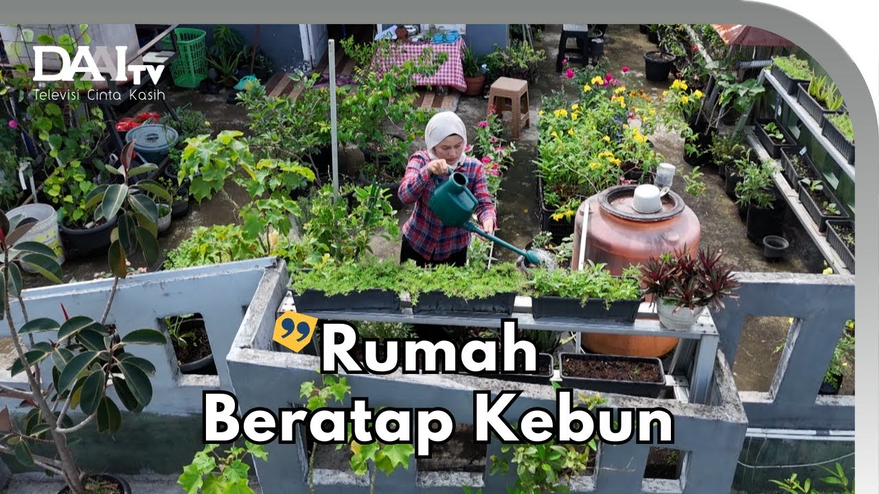 Asiknya Berkebun di Atap Rumah
