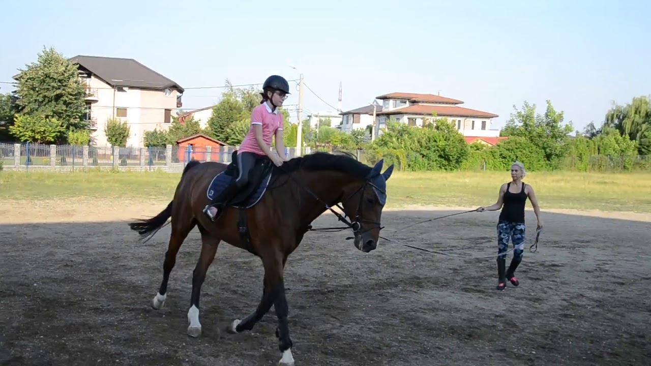 Antrenament la lonja  🐴🥕🍎🍏🐎