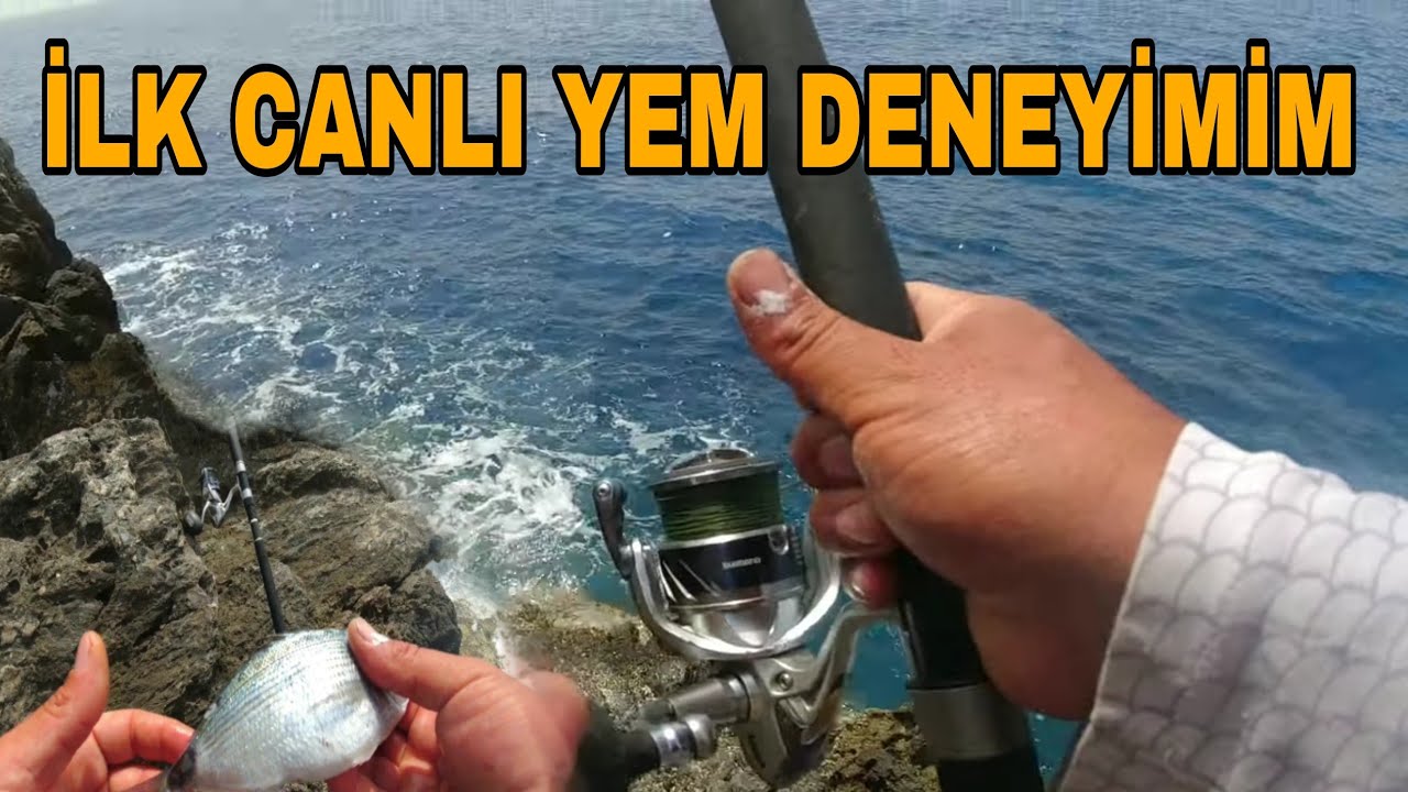KAÇAN BALIK NEYDİ? MELANURDAN CANLI YEM YAPTIM. YENİ MERADA_MELANUR BALIK AVI