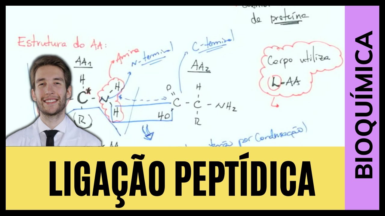 LIGAÇÕES PEPTÍDICAS BIOQUÍMICA