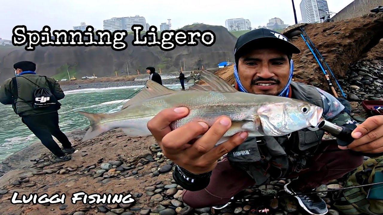 Pesca de Cachemas en La Costa Verde