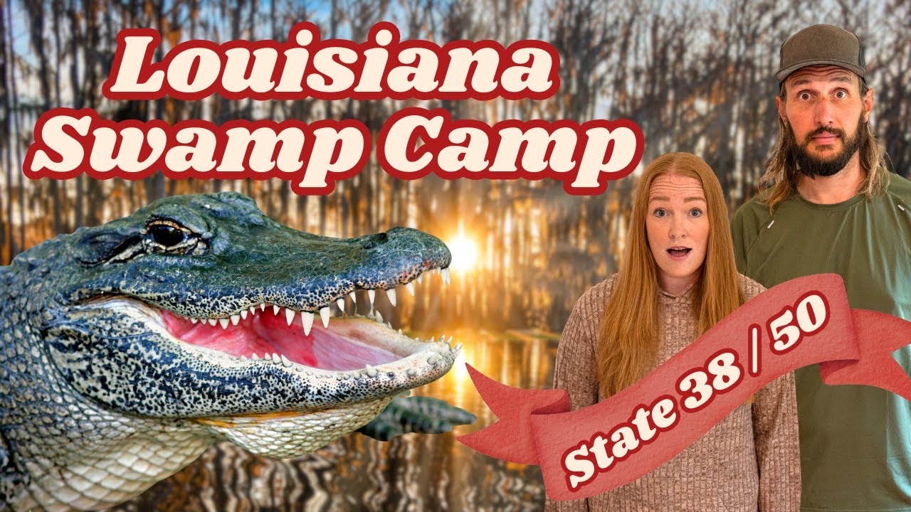 Searching for Gators in the Louisiana Bayou | 50 State Road Trip with Kids