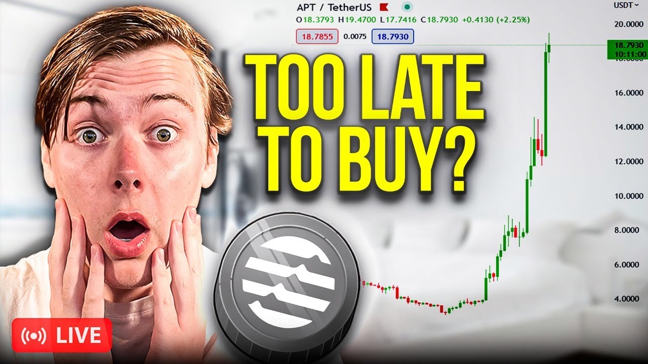 Is Aptos The Next Ethereum? (Full APT Deep&nbsp;Dive + My Plan)