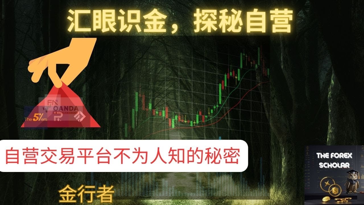 揭秘！自营交易平台(Prop Firm)不为人知的一面 | 深入了解自营交易平台 | 避免入坑 - 汇眼识金，探秘自营！| 金行者 - 超越40万美金自营交易账号